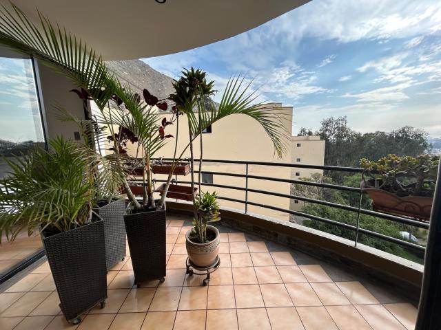 ACOGEDOR DEPARTAMENTO EN ALQUILER EN LOS ALAMOS DE MONTERRICO