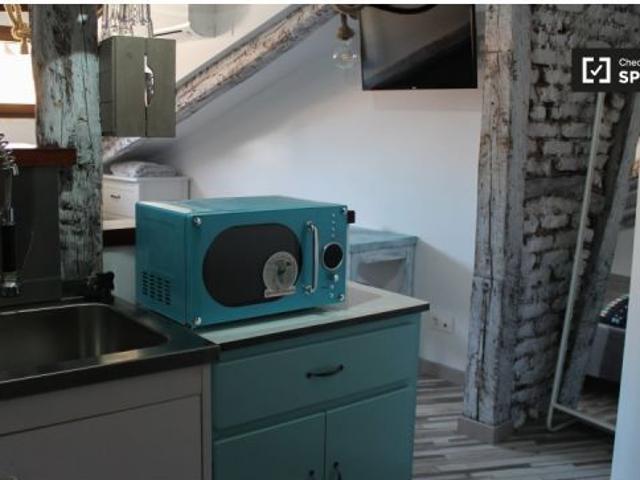Acogedor estudio en alquiler en Madrid Centro