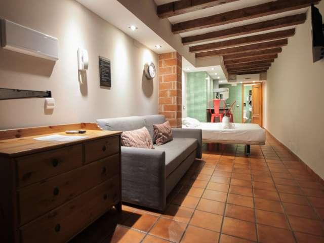 Acogedor estudio en alquiler en El Raval, Barcelona