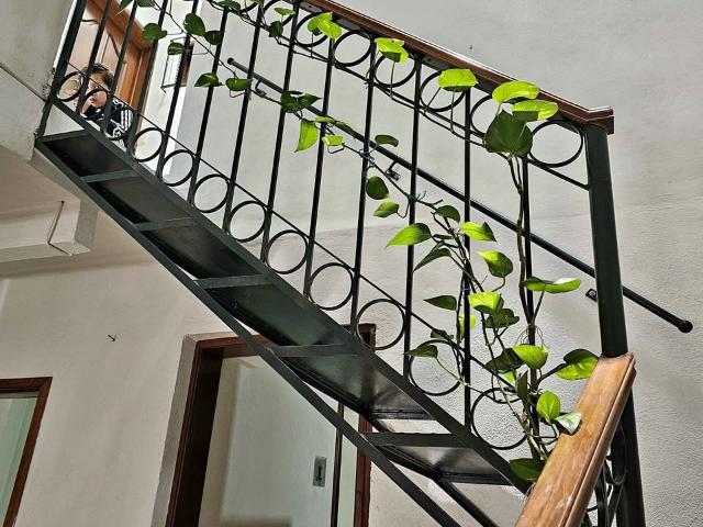 Acogedora Casa en Renta Aparicio 25