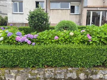 Acogedora Planta Baja en Avilés con Jardín Comunitario y Comodidades