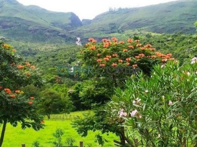Aconchegante Sítio Pé de Serra de 36 Mil M2 em Belo Vale / MG