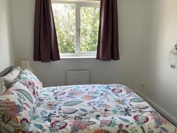 Chippenham, Wiltshire county, Southdowns