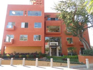 Acapantzingo Oficina CLAVE OR573
