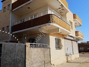 Nusaybin, Mardin ili, Güneydoğu Anadolu Bölgesi