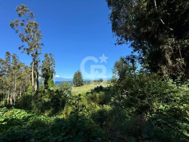 Acceso a playa, vista lago y volcanes. ¡Primera línea! 0 dormitorios por 5500.00 en Frutillar