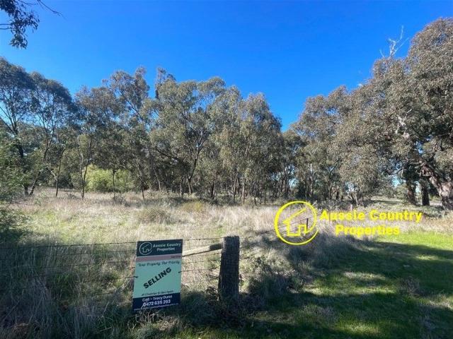 Acerage for Sale in the Serene Setting of Berrigan Your Dream Property Awaits!