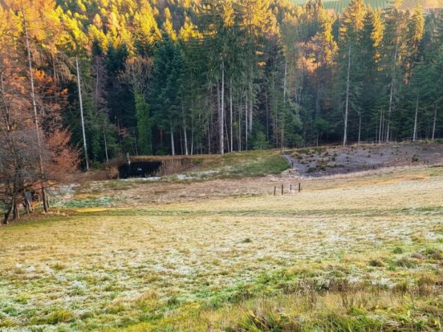 Ruhiges Naturparadies mit 8.152 m² Grund – Großzügiges Wohnhaus, Werkstätte, 4 fach Garage & Tierhaltung möglich in 8510 Trog bei Stainz