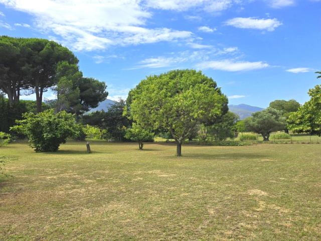 Achat villa à Sorède 160m² Saint André