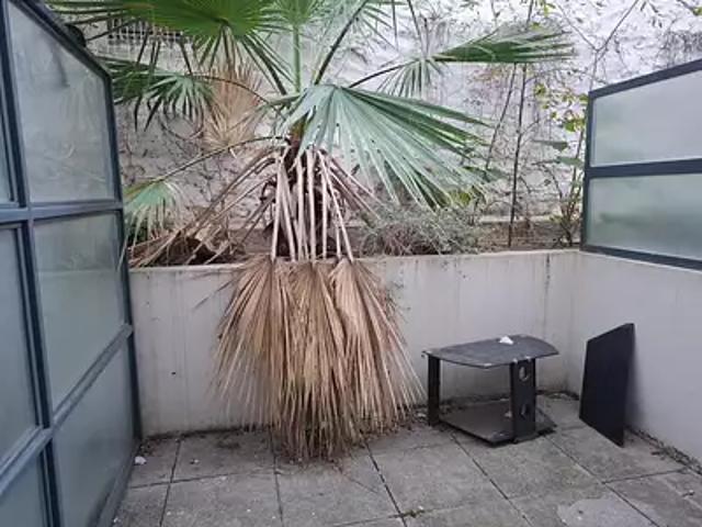 achat appartement, 18.65 m² terrasse