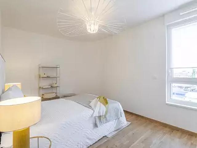 Achat appartements Strasbourg t5 LMNP RT 2012 NF