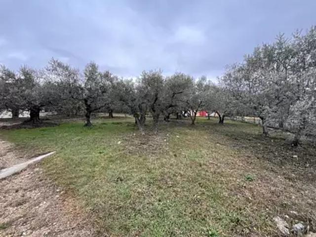 Achat maisons Manosque 5 pièces
