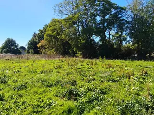 Achat maisons Mandeville 5 pièces
