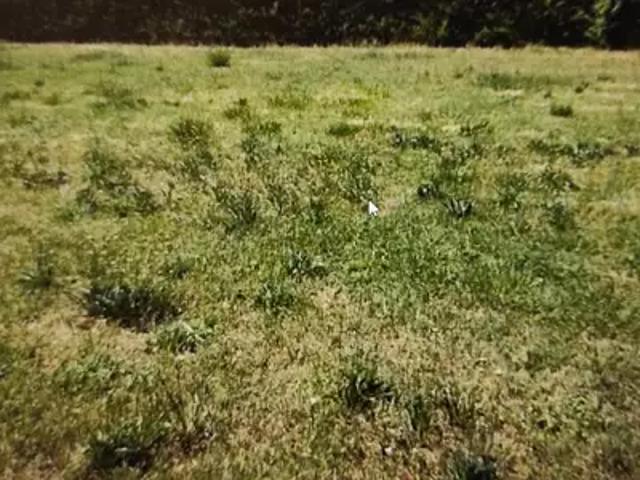 Achat maisons Marbeuf 6 pièces