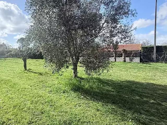 Achat maisons Margaux Cantenac 5 pièces