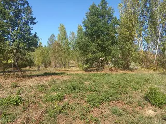 Achat maisons Mézens 5 pièces