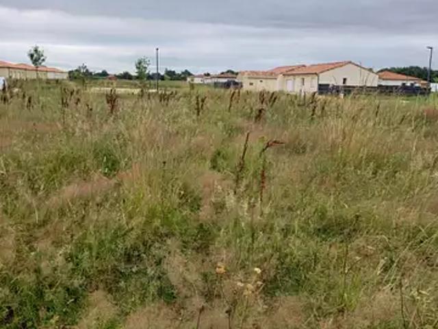Achat maisons Montbeton 5 pièces