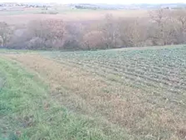 Achat maisons Montbrun Lauragais 6 pièces