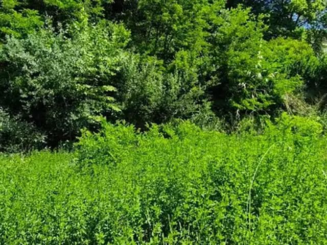 Achat maisons Montélimar 6 pièces