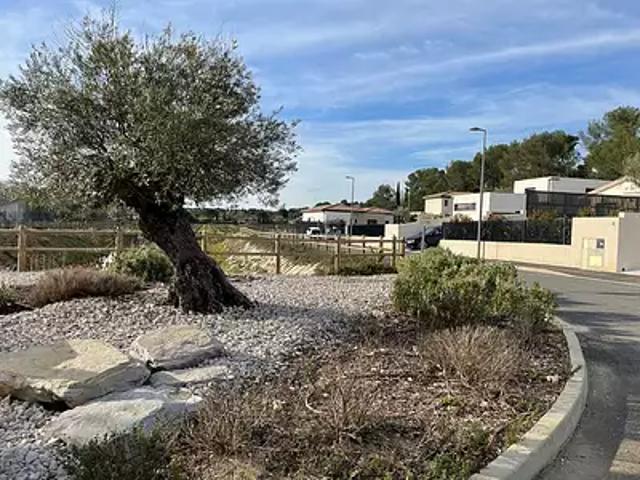Achat maisons Montferrier sur Lez 5 pièces