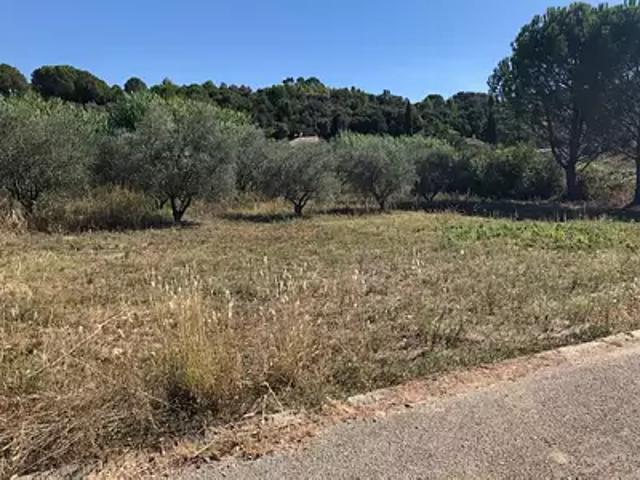 Achat maisons Montferrier sur Lez 6 pièces