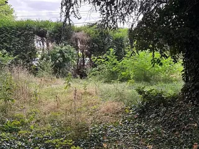 Achat maisons Montigny lès Cormeilles 6 pièces