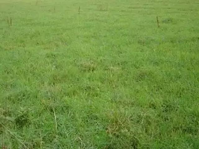 Achat maisons Montmerrei 6 pièces