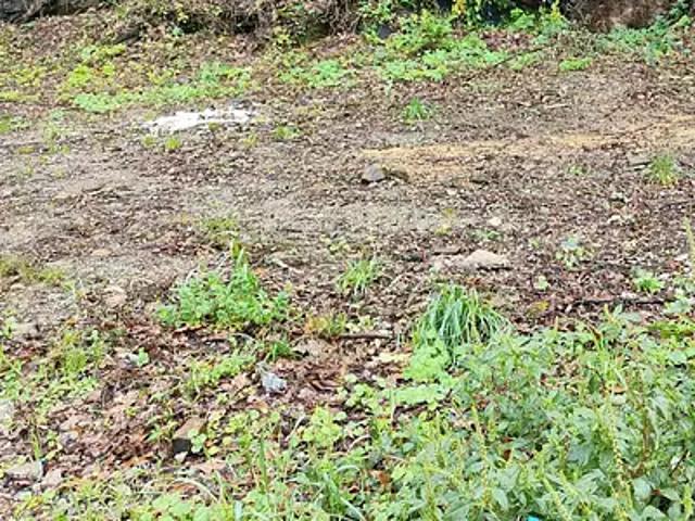 Achat maisons Mouzillon 4 pièces