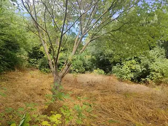 Achat maisons Nages et Solorgues 1 pièce
