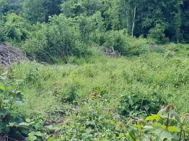 Achat maisons Nanteuil lès Meaux 6 pièces