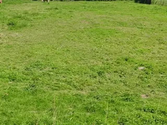 Achat maisons Nesle Normandeuse 4 pièces