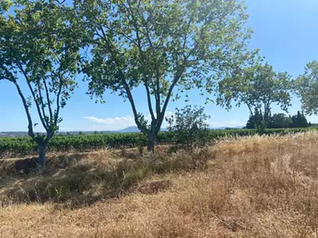 Achat maisons Olonzac 4 pièces