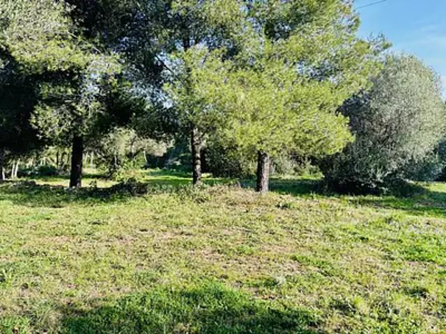 Achat maisons Ollioules 3 pièces