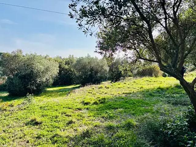 Achat maisons Ollioules 3 pièces