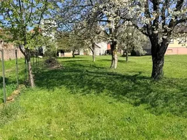 Achat maisons Osenbach 5 pièces
