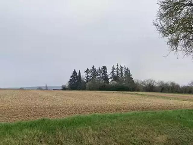 Achat maisons Allogny 6 pièces