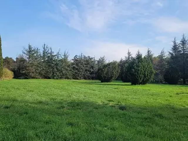 Achat maisons Allan 5 pièces