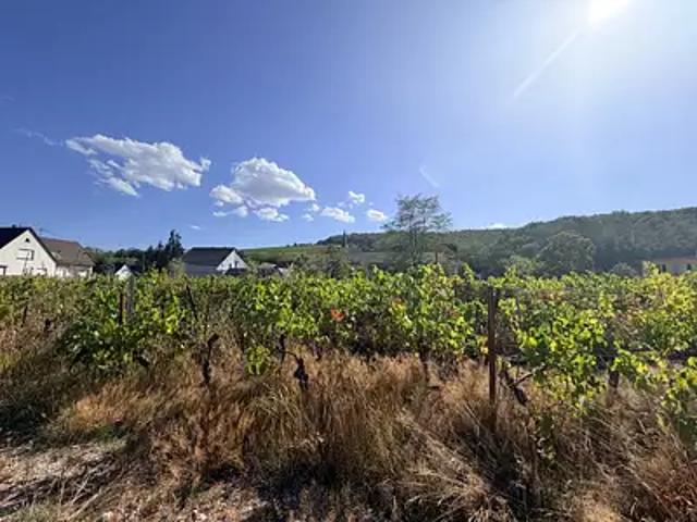 Achat maisons Andlau 5 pièces