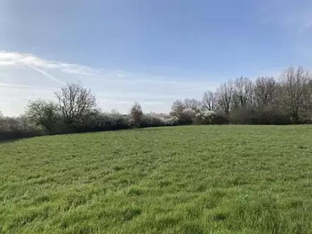 Achat maisons Buzet sur Tarn 4 pièces