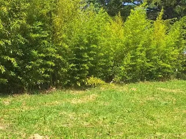 Achat maisons Bérat 4 pièces