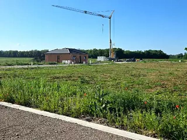Achat maisons Bindernheim 5 pièces