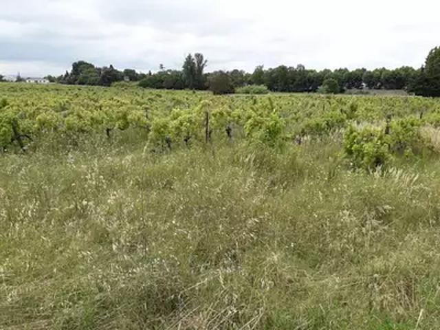 Achat maisons Bizanet 4 pièces