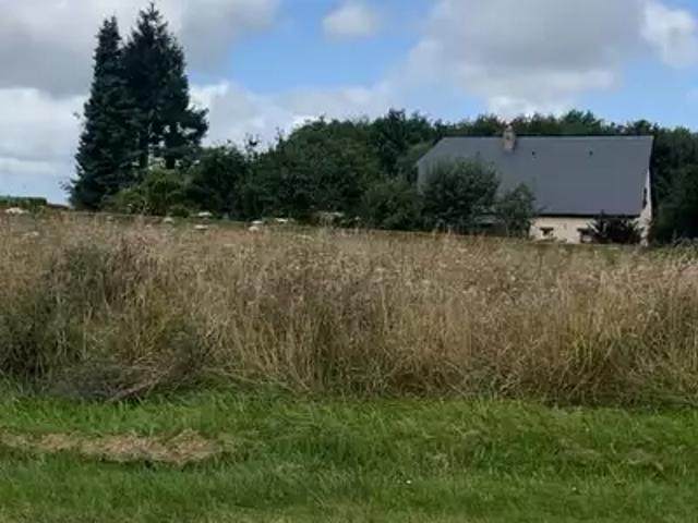 Achat maisons Bornambusc 4 pièces