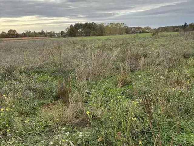 Achat maisons Bouchemaine 5 pièces