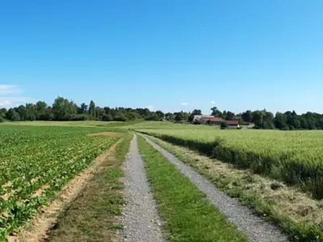 Achat maisons Boullay les Troux 6 pièces