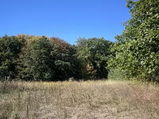 Achat maisons Boust 5 pièces