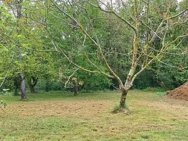 Achat maisons Brax 5 pièces