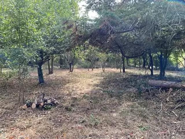 Achat maisons Brax 5 pièces