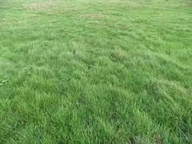 Achat maisons Bréau 5 pièces