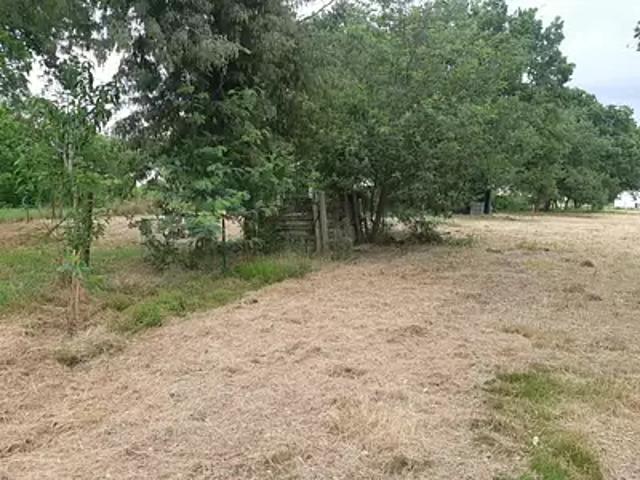 Achat maisons Bressols 5 pièces